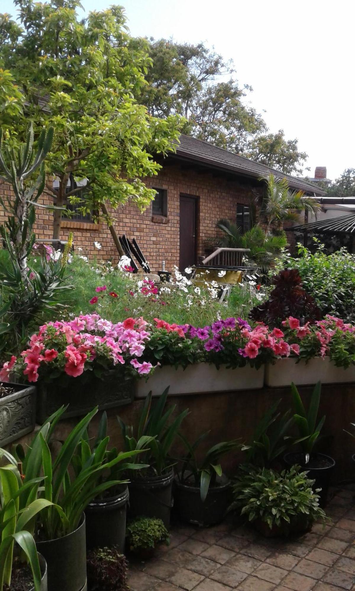 Marlin Cottage 钦查 客房 照片